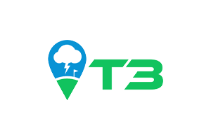 t3